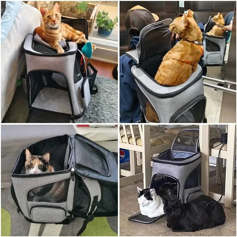 Sac à dos chat
