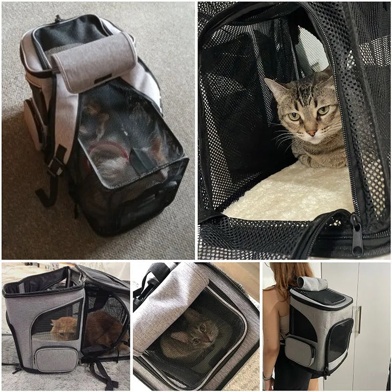 Sac à dos chat